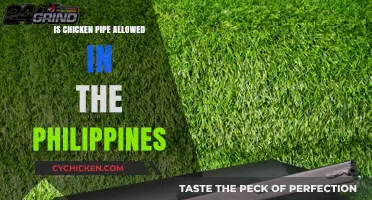 Is Chicken Pipe Legal in the Philippines? Exploring the Regulations