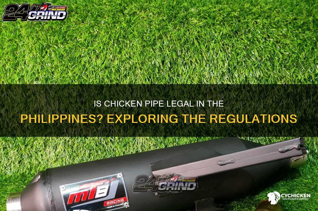 is chicken pipe allowed in the philippines