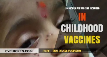 Chickenpox Vaccine: Is It Part of Standard Childhood Immunizations?