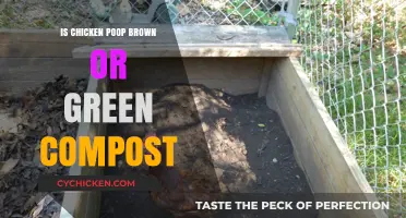Chicken Poop Compost: Brown or Green? Unraveling the Garden Mystery