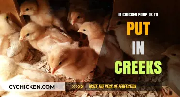 Is Chicken Poop Creek-Safe? Environmental Impact and Best Practices