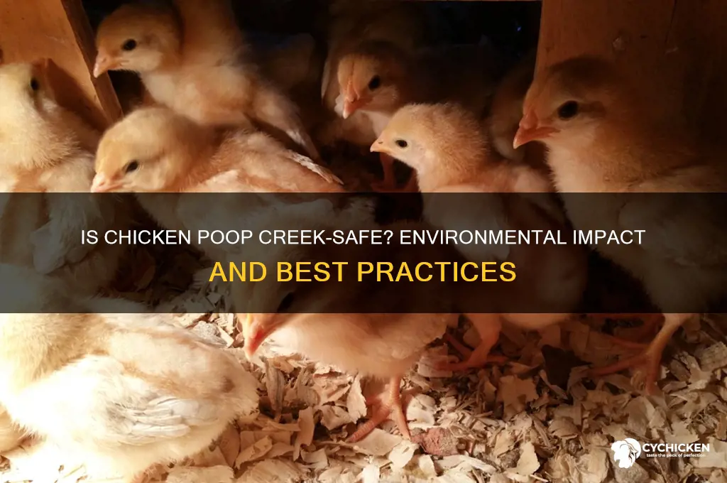 is chicken poop ok to put in creeks