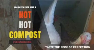 Is Chicken Poop Safe for Gardens Without Hot Composting?