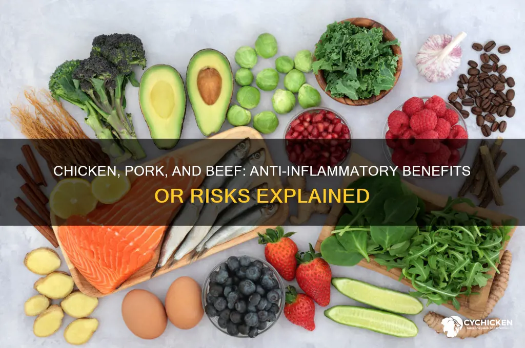is chicken pork and berf anti-inflammatory