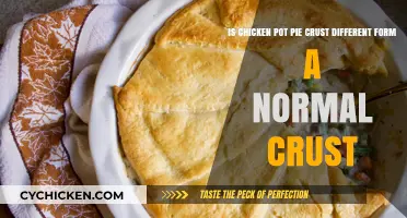 Exploring the Unique Crust of Chicken Pot Pie: A Delicious Difference