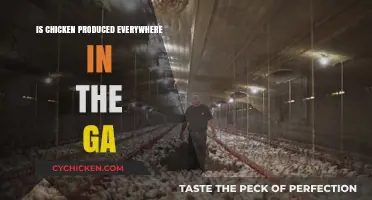 Is Chicken Produced Everywhere in the GA? Exploring Local Poultry Farming