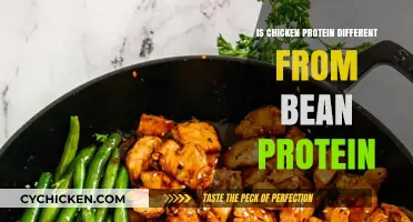 Chicken vs. Bean Protein: Unraveling Nutritional Differences and Benefits
