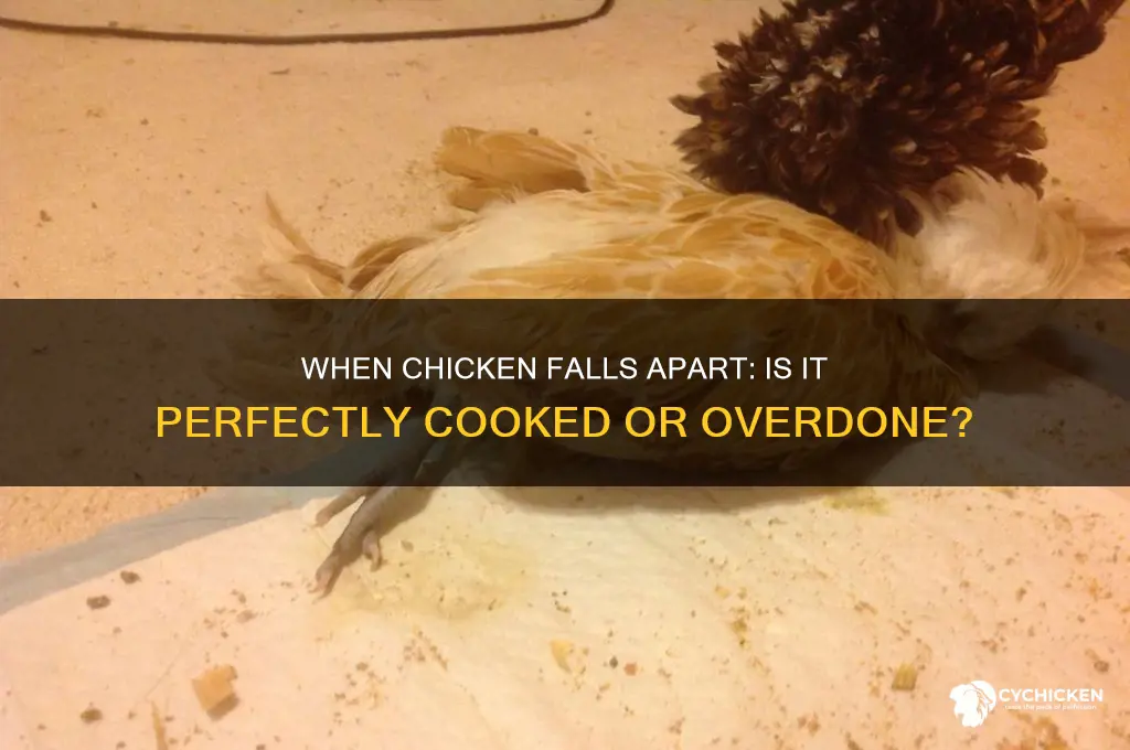 is chicken ready when its fallong apart