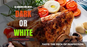 Is Chicken Rib Meat Dark or White? Unraveling Poultry Mysteries