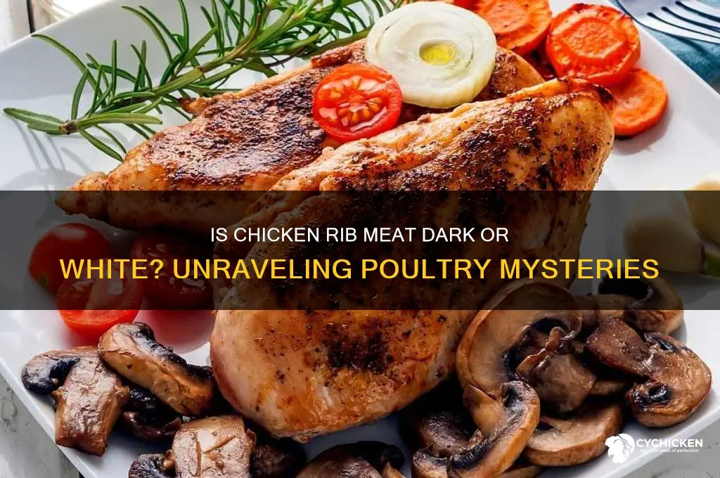 is chicken rib meat dark or white