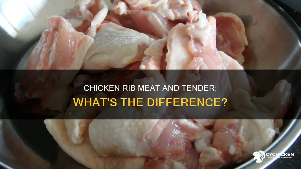 is chicken rib meat the same as a tender