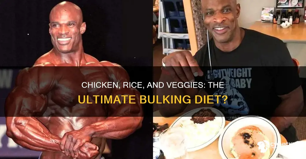 is chicken rice and vegetables all you need for bulking