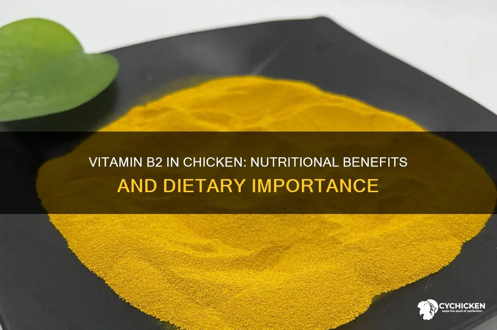 is chicken rich in vitamin b 2