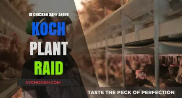 Is Chicken Safe to Eat After the Koch Plant Raid?
