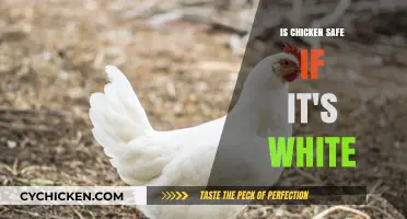 Is White Chicken Safe? Debunking Myths About Poultry Color