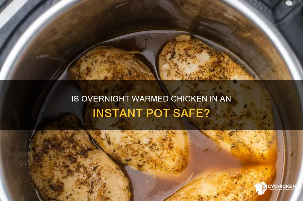 is chicken safe in instapot warm overnight