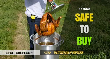 Is Chicken Safe to Buy? A Comprehensive Guide to Poultry Safety