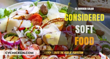 Exploring Culinary Softness: Is Chicken Salad a Soft Food?