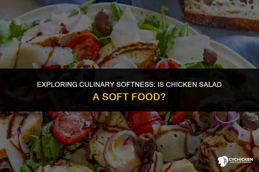 is chicken salad considered soft food