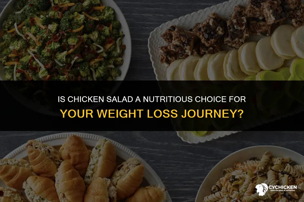 is chicken salad healthy for weight loss