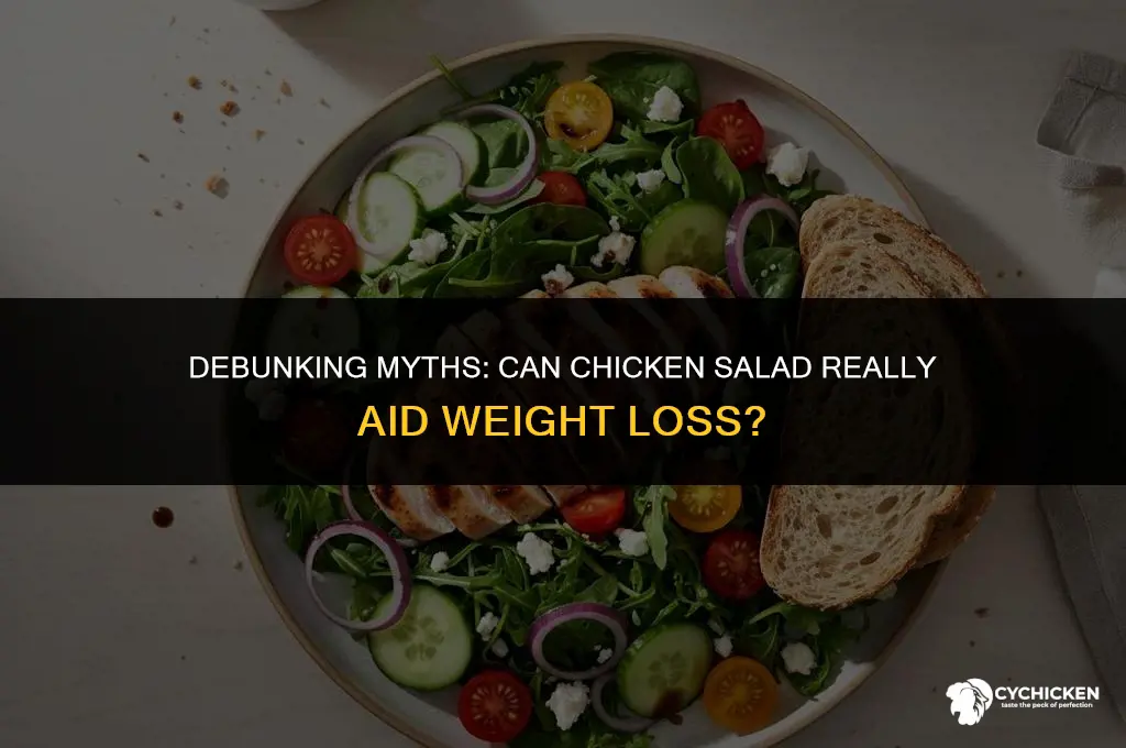is chicken salad healthy to lose weight