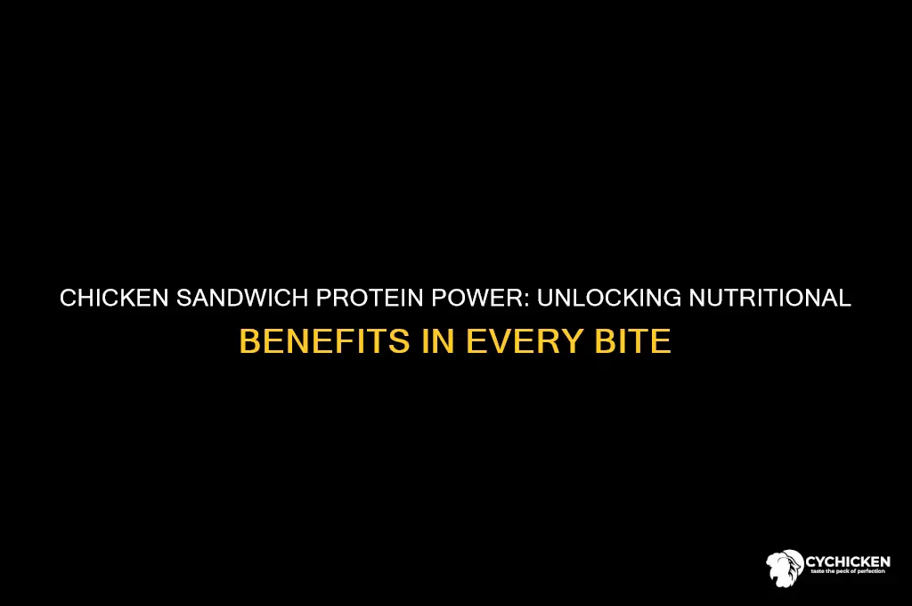 is chicken sandwich a source of protein
