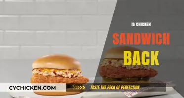Is the Chicken Sandwich Back? A Tasty Comeback Explored