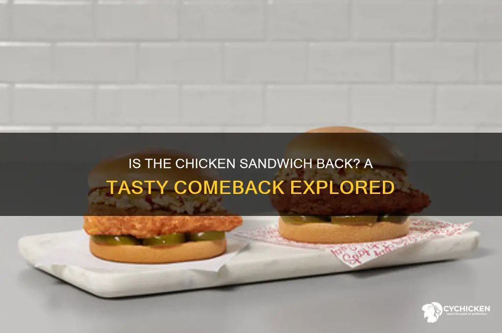 is chicken sandwich back