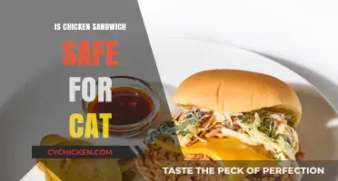 Can Cats Eat Chicken Sandwiches? Safety Tips for Pet Owners
