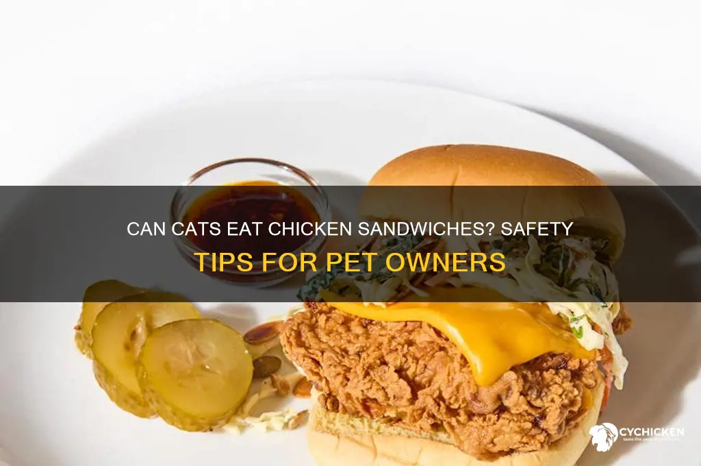 is chicken sandwich safe for cat