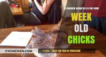 Chicken Scratch: Safe for Young Chicks?