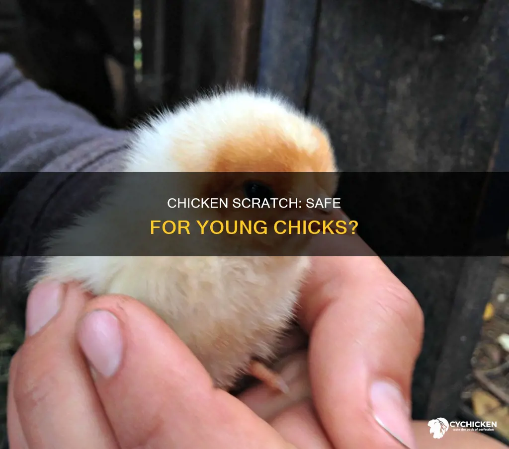 is chicken scracth o k foe four week old chicks