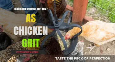 Chicken Scratch vs. Grit: Understanding the Difference for Poultry Care