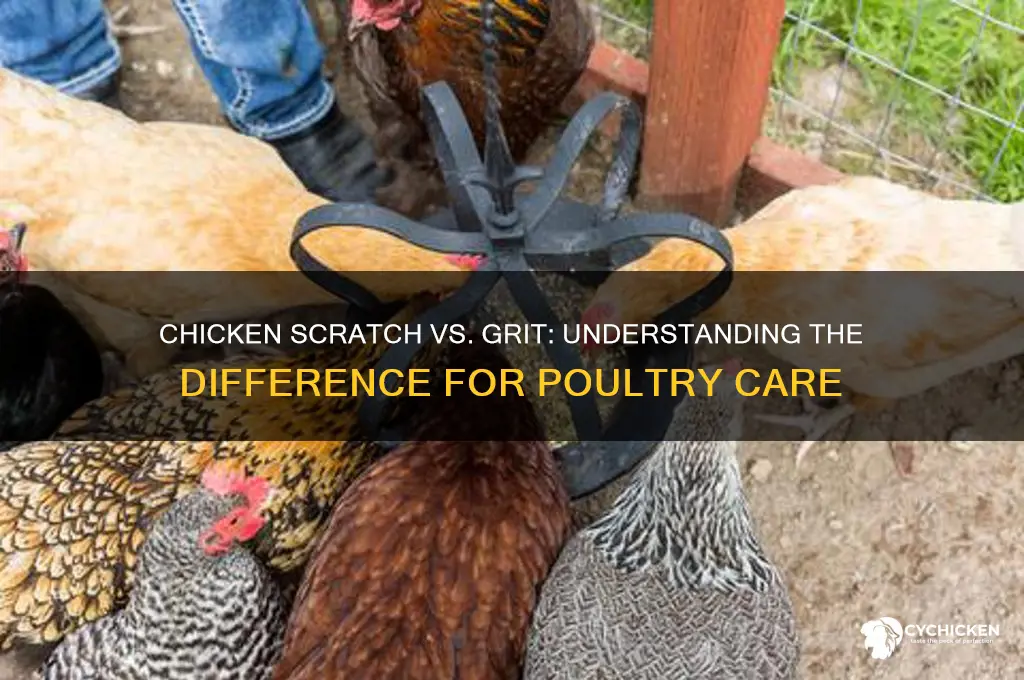 is chicken scratch the same as chicken grit