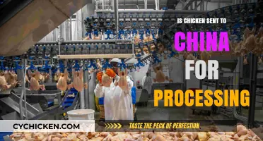 Is U.S. Chicken Sent to China for Processing? The Truth Revealed
