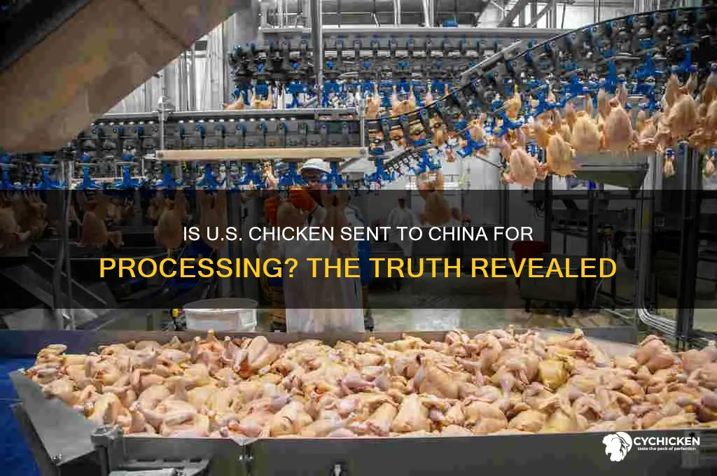 is chicken sent to china for processing