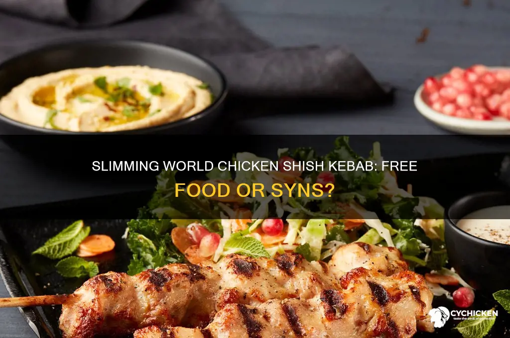 is chicken shish kebab free on slimming world