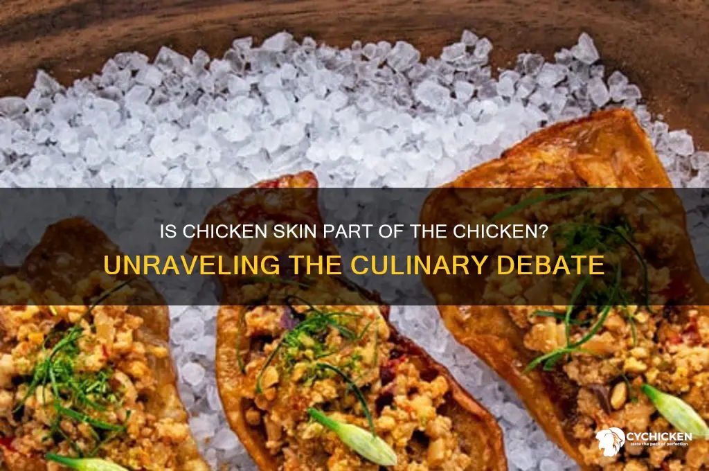 is chicken skin is part of chicken