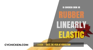 Chicken Skin vs. Rubber: Exploring Linear Elasticity in Unique Materials
