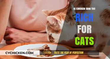 Can Cats Eat Chicken Skin? Risks and Nutritional Concerns Explained