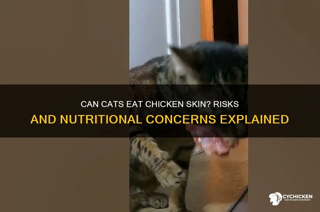 is chicken skin too rich for cats