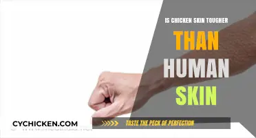 Chicken Skin vs. Human Skin: Which is Tougher and Why?