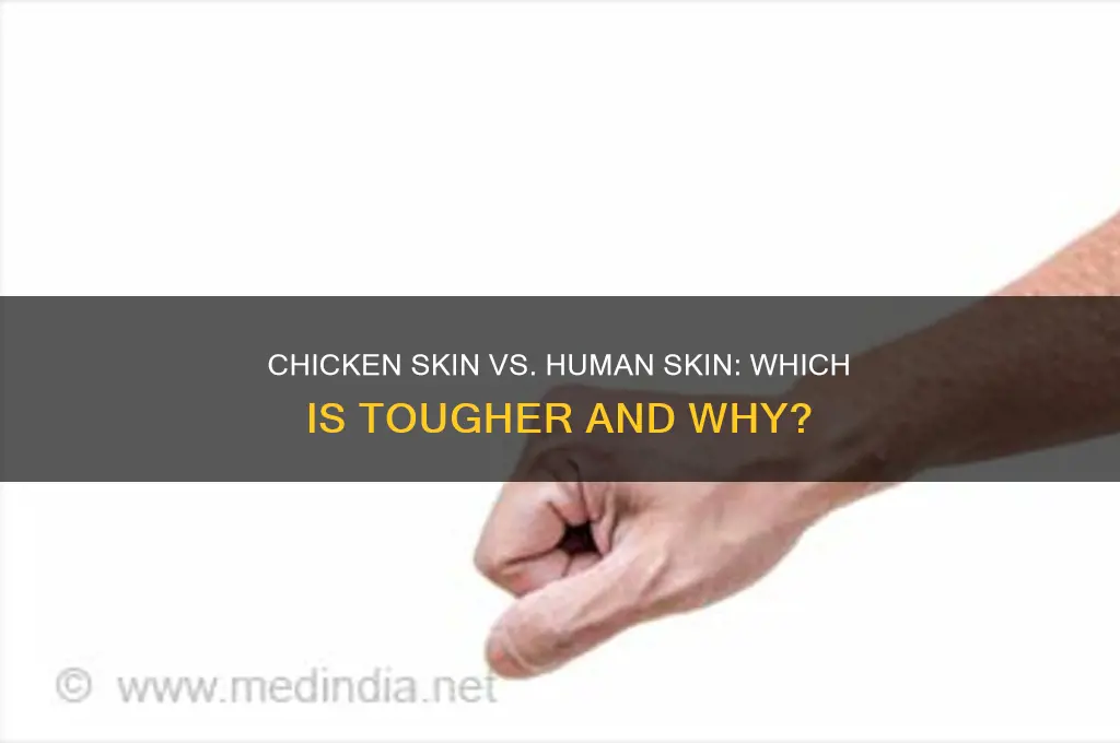is chicken skin tougher than human skin