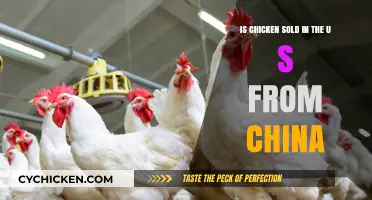 Chicken's Origin: China to the US