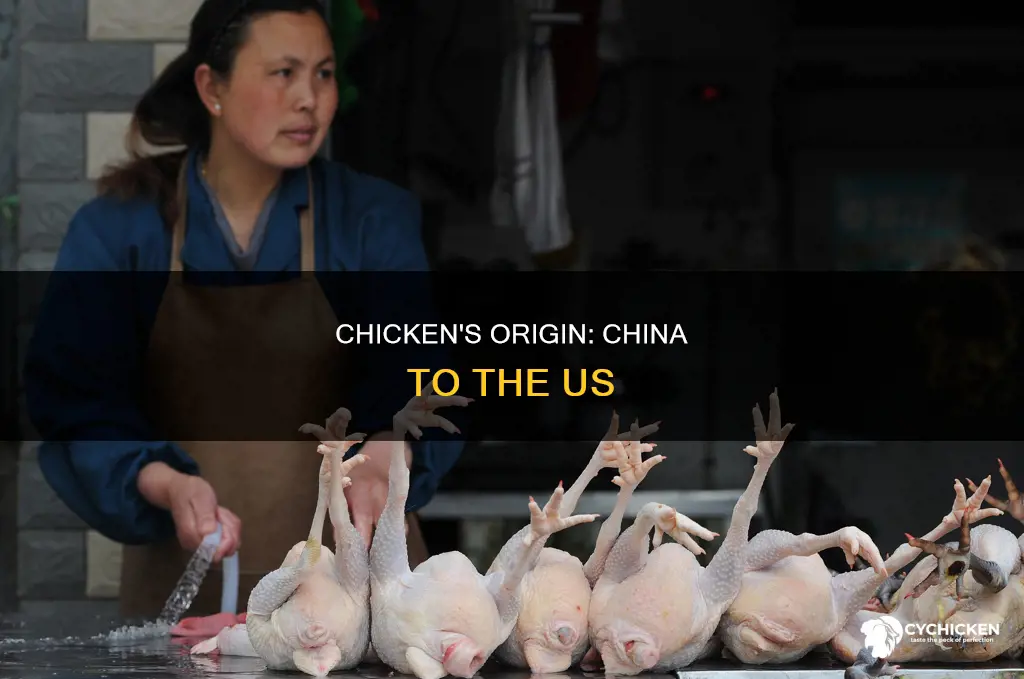 is chicken sold in the u s from china