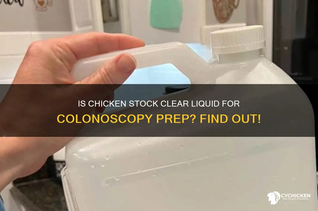 is chicken stock a clear liquid for colonoscopy