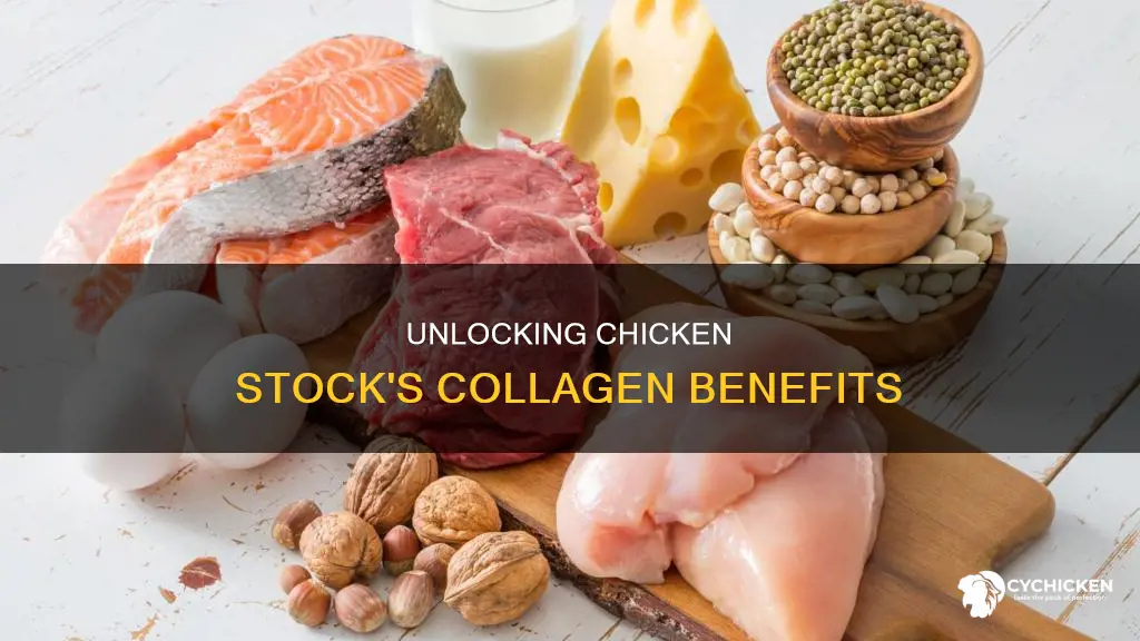 is chicken stock a source of type 2 collagen