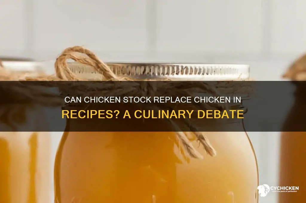 is chicken stock a substitue for chicken