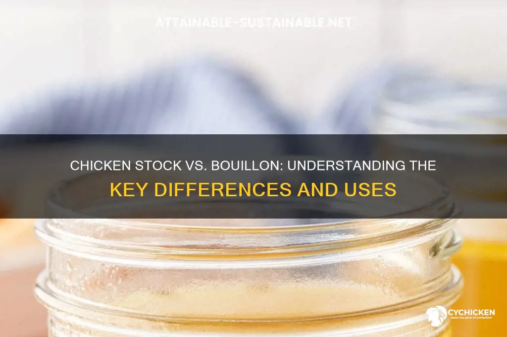 is chicken stock and bouillon the same