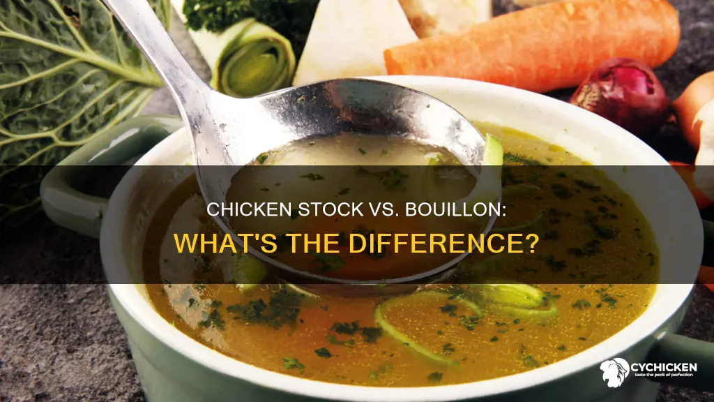is chicken stock and chicken bouillon the same thing